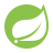 Spring Framework icon